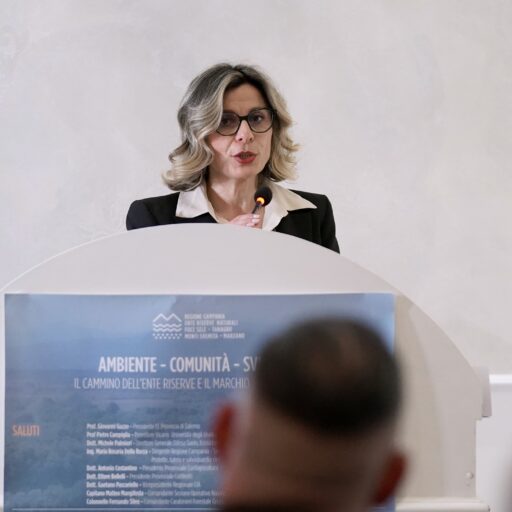 CONFERENZA_1.20.1
