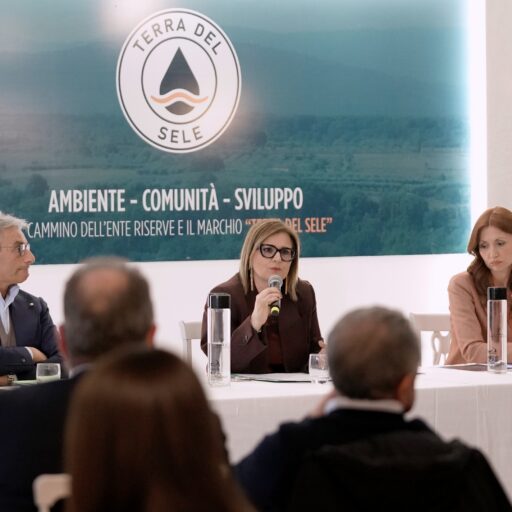 CONFERENZA_1.3.1