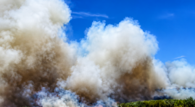 Incendio tra Eboli e Capaccio, Ente Riserve Foce Sele-Tanagro chiede un tavolo tecnico urgente per la riqualificazione della fascia pinetata