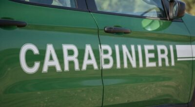 Sequestro importante nella lotta contro l’inquinamento.