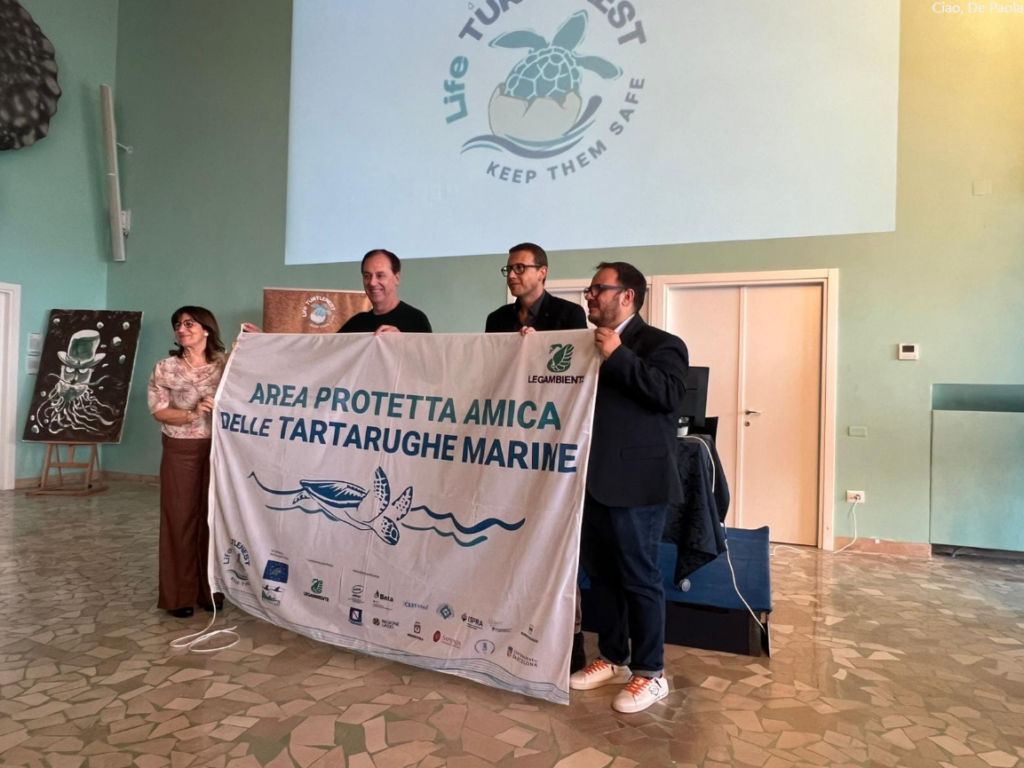 Protezione delle tartarughe: presentato il progetto “Life Turtlenest in Campania”