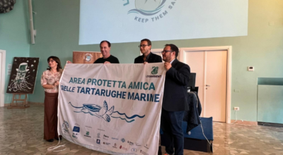 Protezione delle tartarughe: presentato il progetto “Life Turtlenest in Campania”