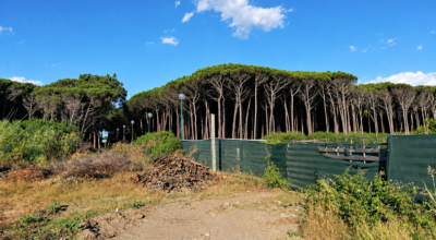 INCENDI NELLA PINETA, L’ENTE RISERVE CHIEDE ALLA REGIONE CAMPANIA UN TAVOLO TECNICO URGENTE